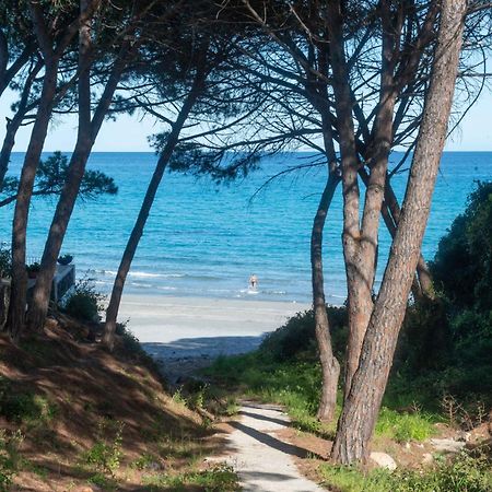 Апартаменты I Pini Di Fuile 'E Mare Орозеи Экстерьер фото